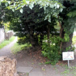 世田谷区岡本の「たたりの森」の謎を追え！【後編】